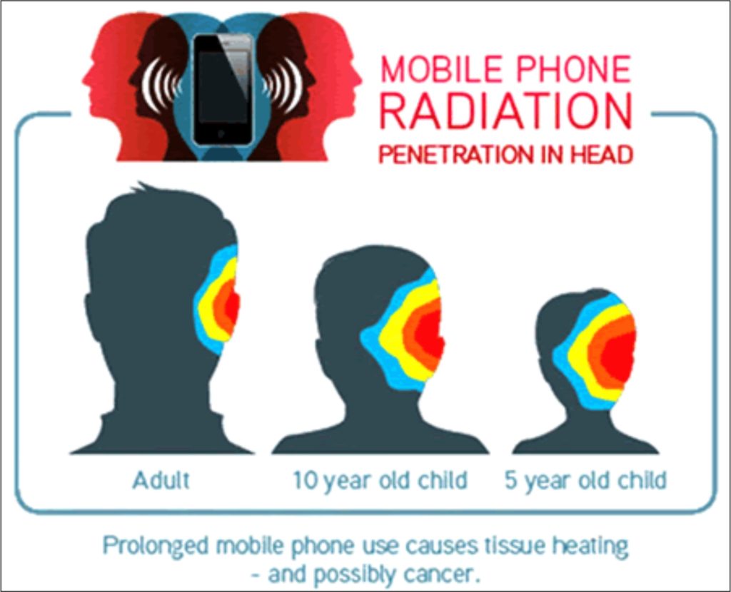 CELL PHONES AFFECT BRAIN ACTIVITY - Bitou News